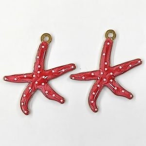 Stella marina acciaio smaltato 1 pezzo