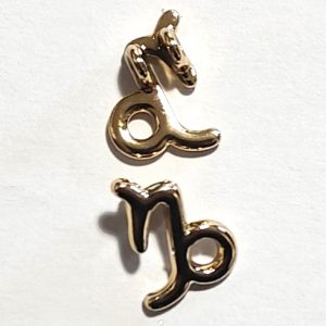 Segno zodiacale Capricorno in Zama 1 pezzo